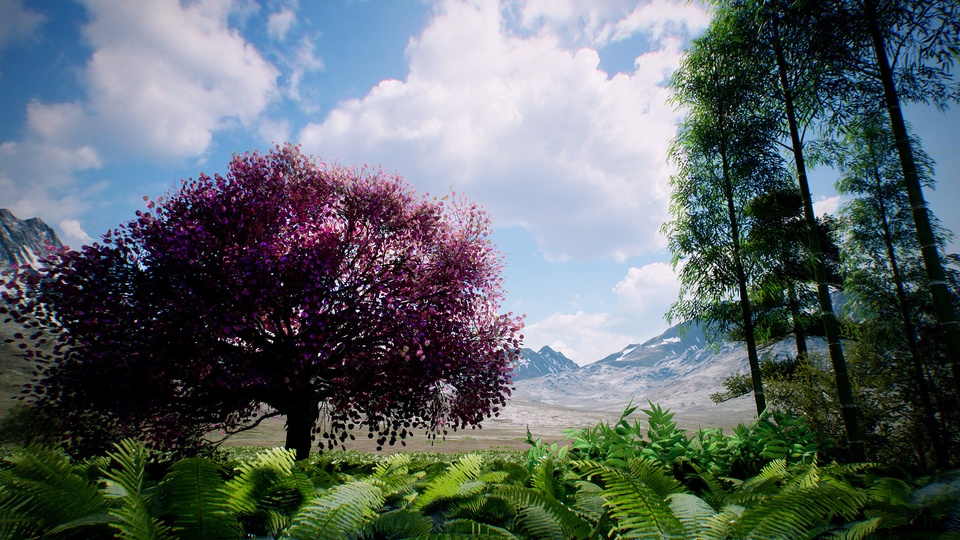 亚洲竹林Bamboo Asian forest 【4.27-5.4】