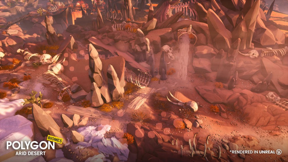 POLYGON – 干旱沙漠 – 自然生物群落