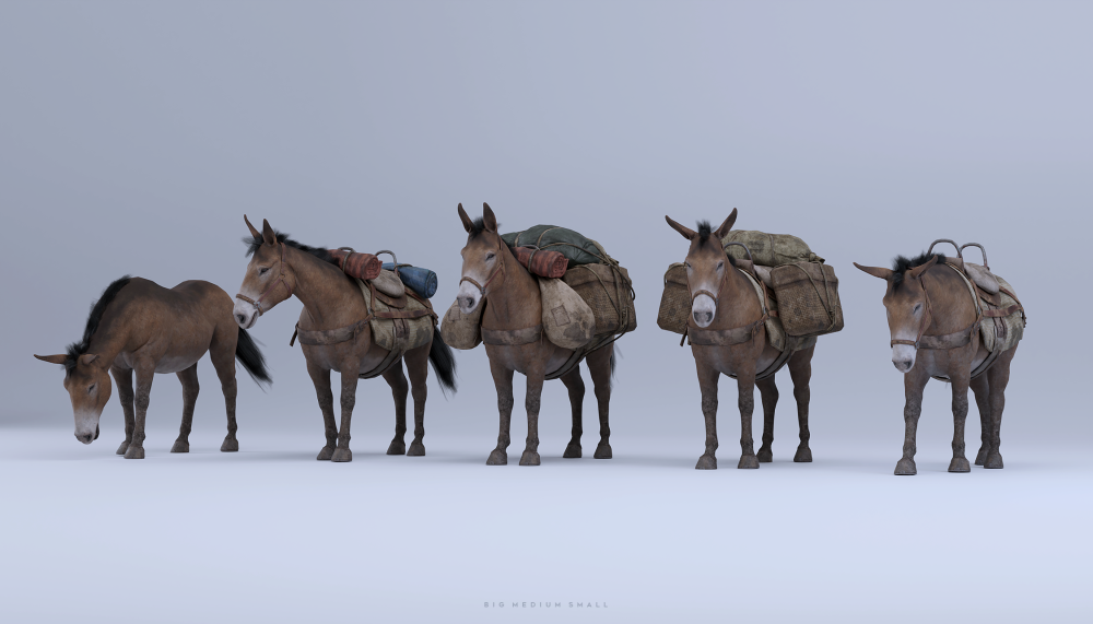 遗忘之城The Lost City – BigMediumSmall