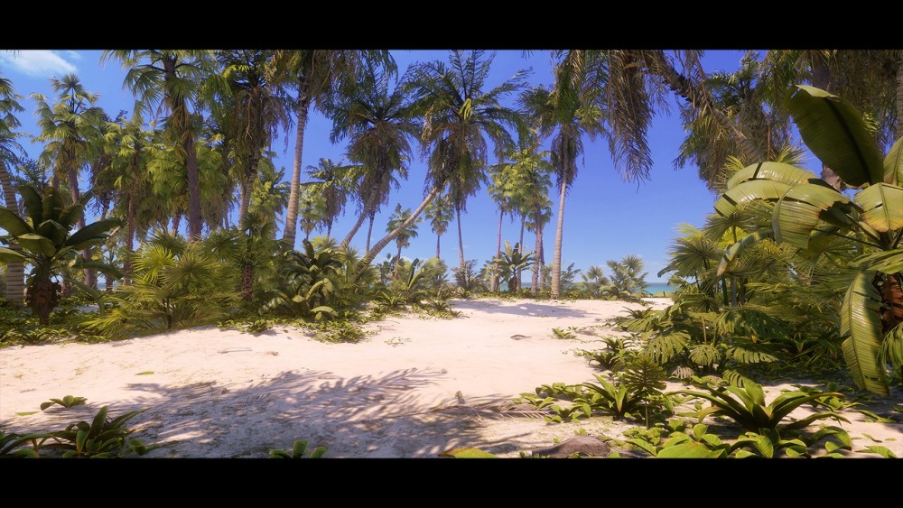 热带植物和景观Tropical Foliage and Landscape