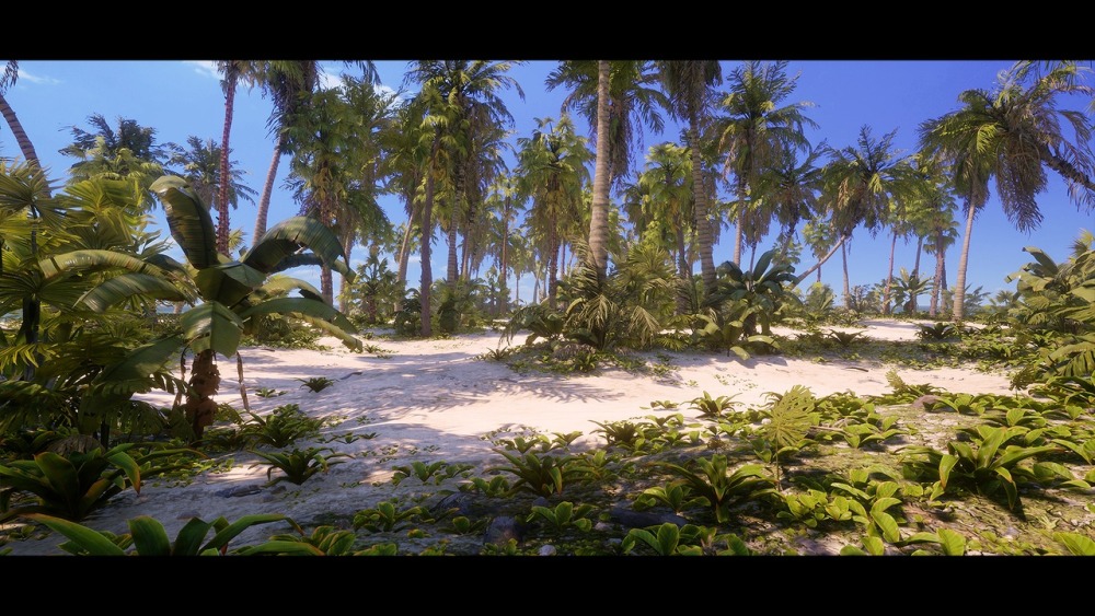 热带植物和景观Tropical Foliage and Landscape