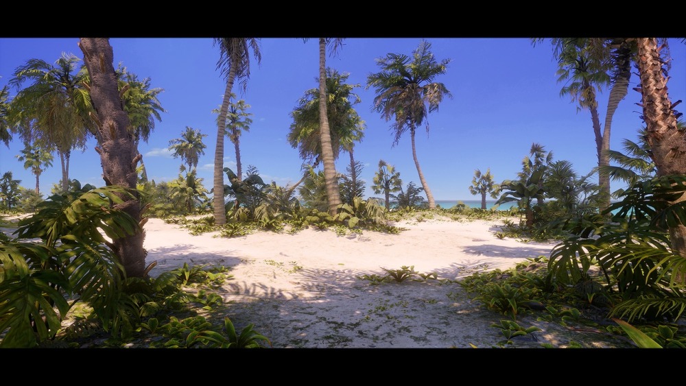 热带植物和景观Tropical Foliage and Landscape