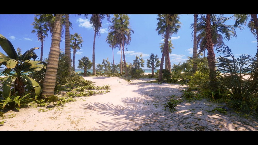 热带植物和景观Tropical Foliage and Landscape