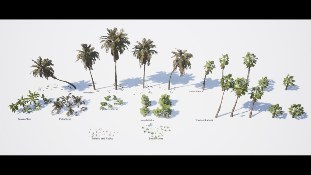 热带植物和景观Tropical Foliage and Landscape