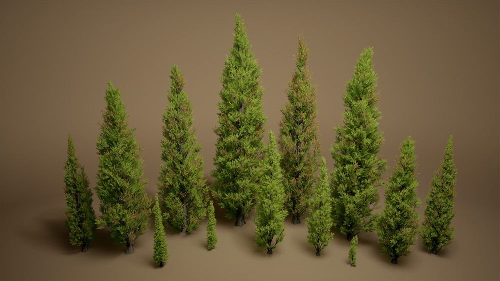 叶子 VOL.21 - 柏树Foliage VOL.21 - Cypress Trees