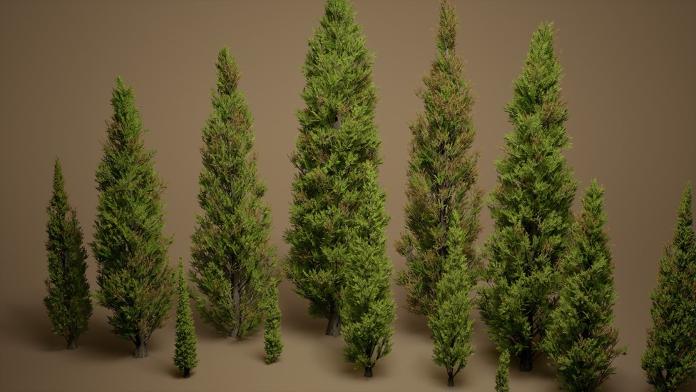 叶子 VOL.21 - 柏树Foliage VOL.21 - Cypress Trees