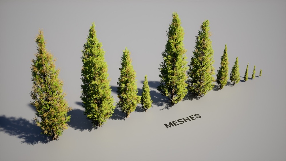 叶子 VOL.21 - 柏树Foliage VOL.21 - Cypress Trees