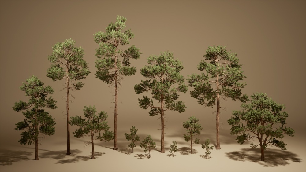 树叶 VOL.2 – 松树Foliage VOL.2 - Pines