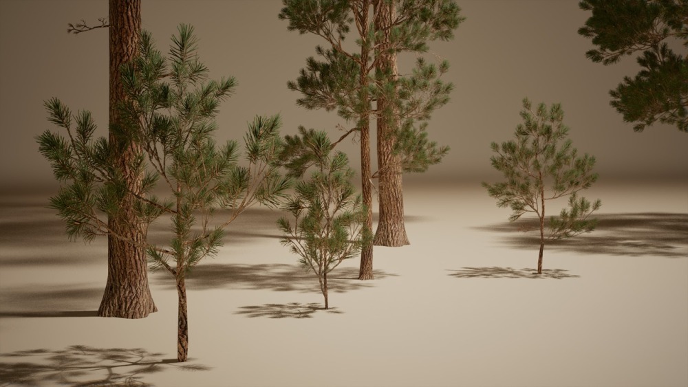 树叶 VOL.2 – 松树Foliage VOL.2 - Pines