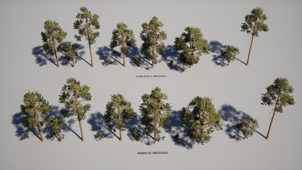 树叶 VOL.2 – 松树Foliage VOL.2 - Pines