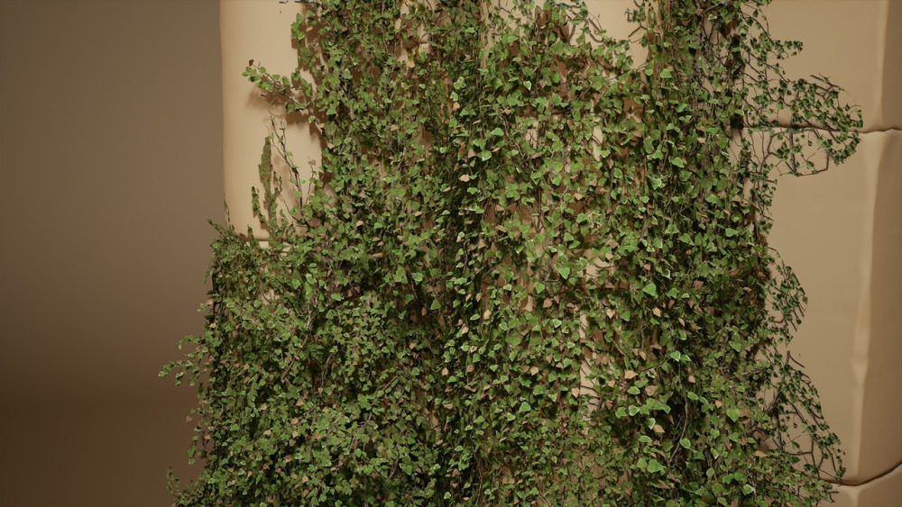 树叶 VOL.23 – 常春藤Foliage VOL.23 - Ivy