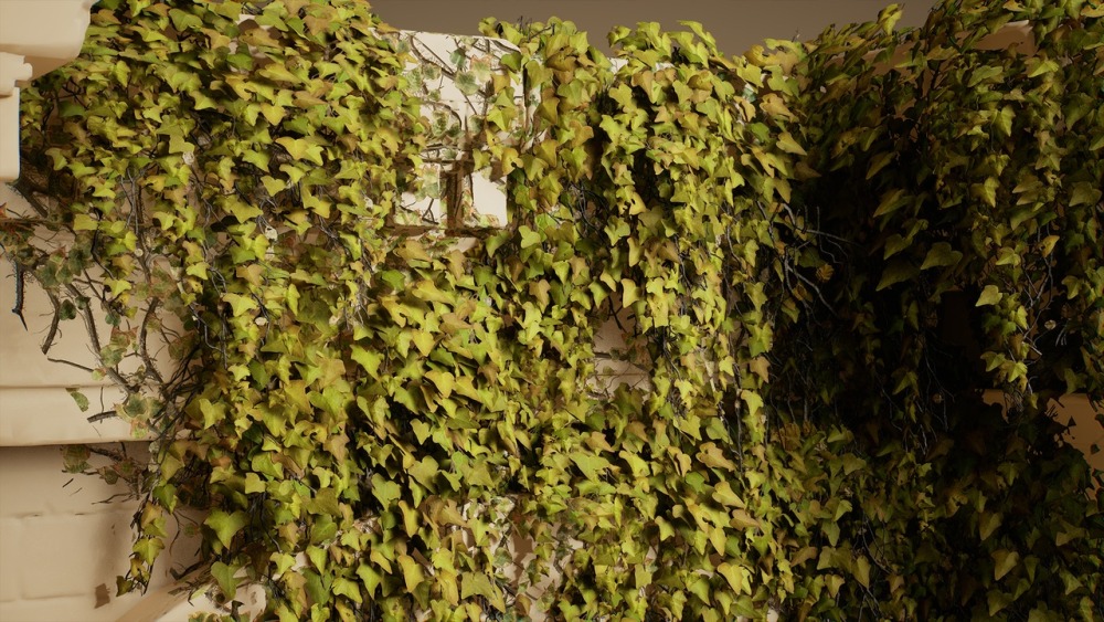 树叶 VOL.23 – 常春藤Foliage VOL.23 - Ivy