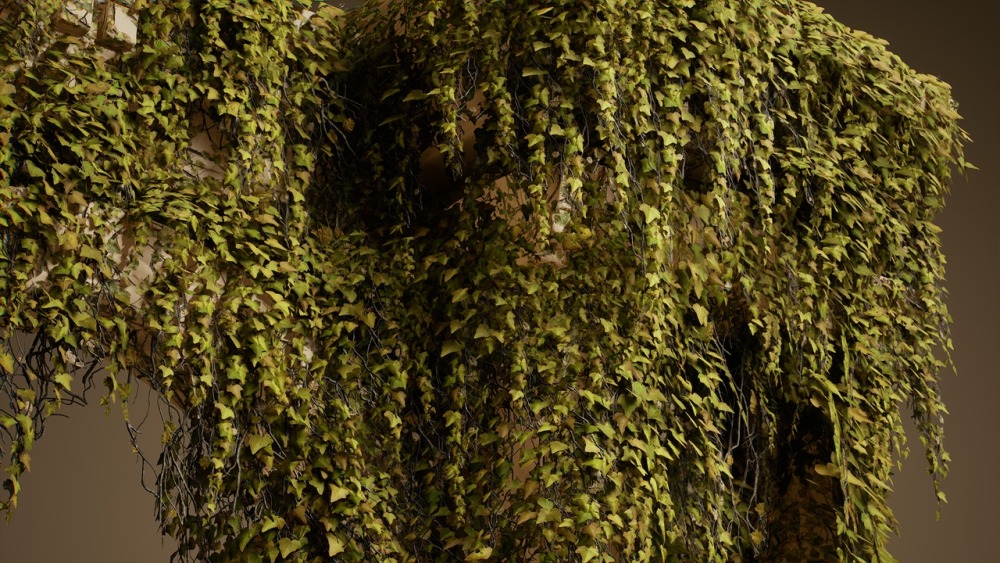 树叶 VOL.23 – 常春藤Foliage VOL.23 - Ivy