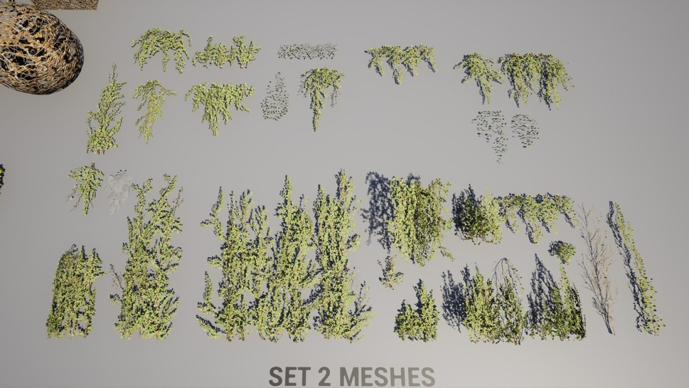 树叶 VOL.23 – 常春藤Foliage VOL.23 - Ivy