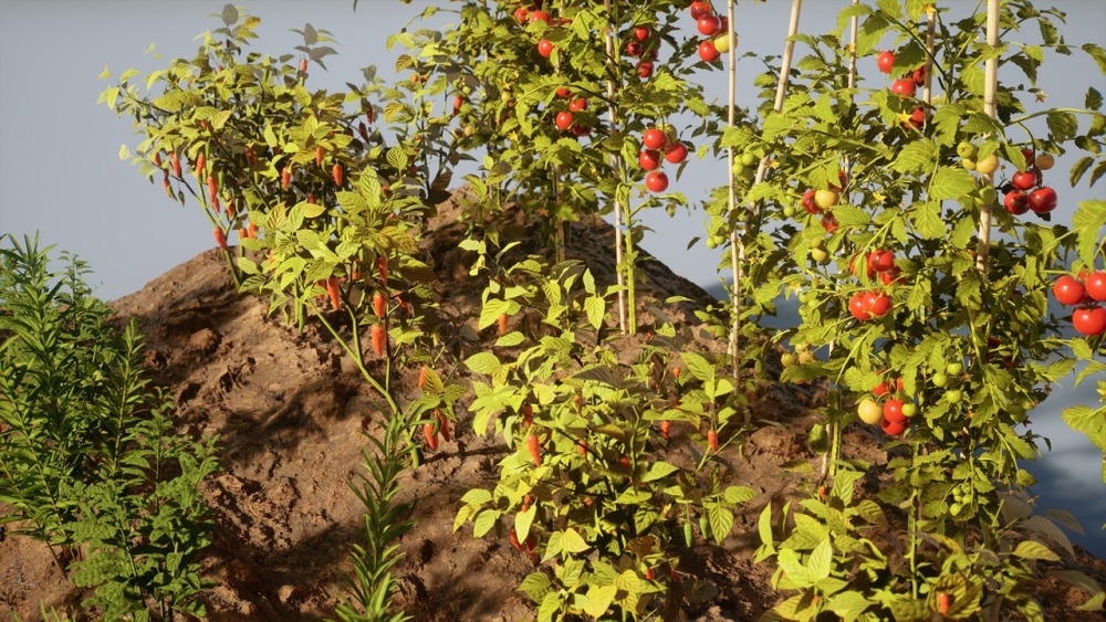 树叶 VOL.24 – 种植植物Foliage VOL.24 - Farming Plants