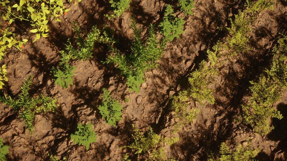 树叶 VOL.24 – 种植植物Foliage VOL.24 - Farming Plants