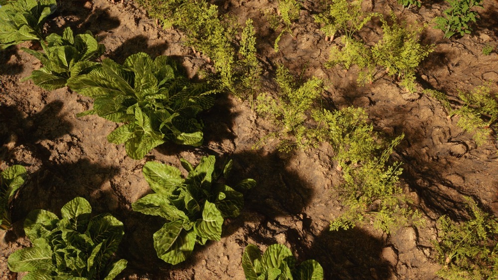 树叶 VOL.24 – 种植植物Foliage VOL.24 - Farming Plants