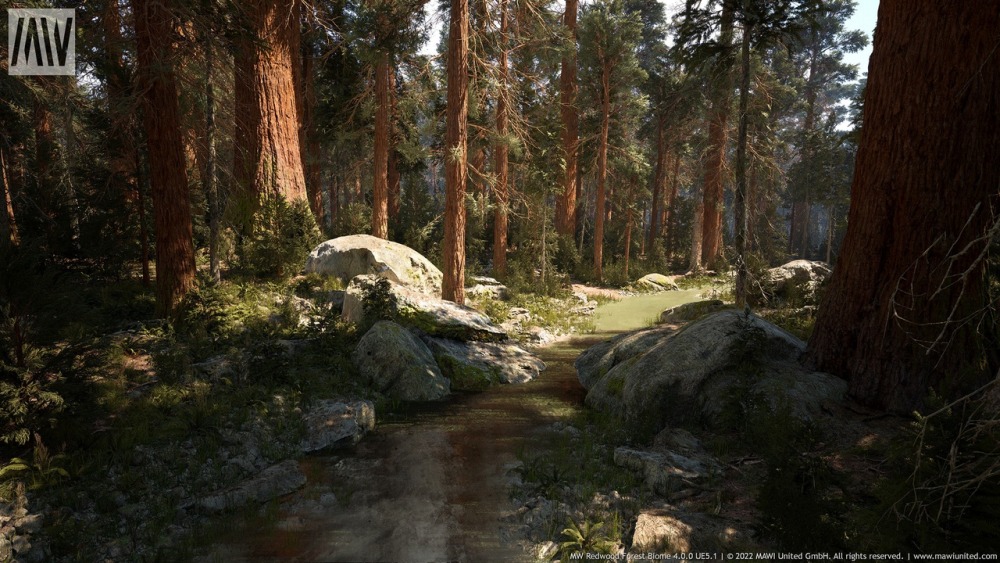 MW 红木树森林生物群落MW Redwood Trees Forest Biome