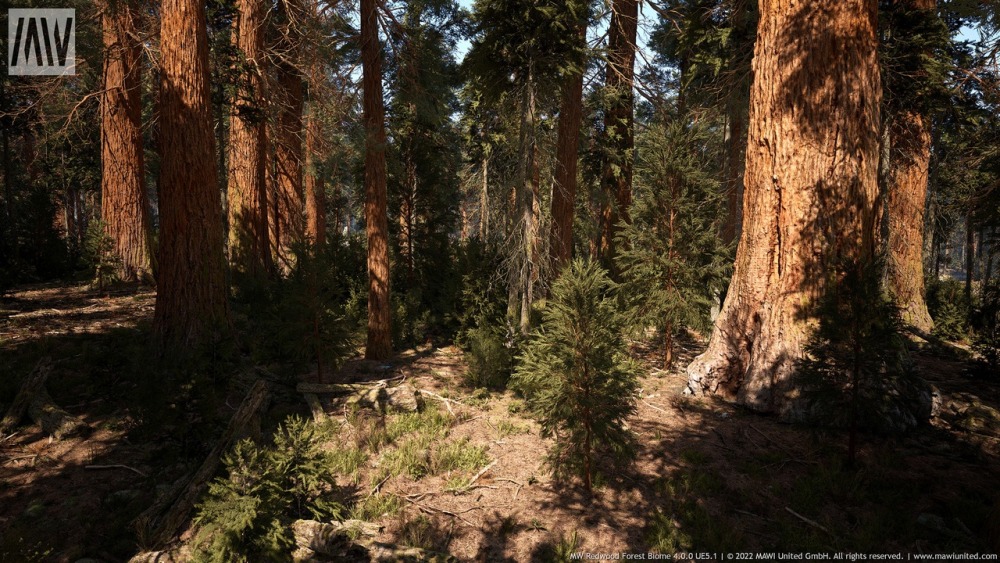 MW 红木树森林生物群落MW Redwood Trees Forest Biome