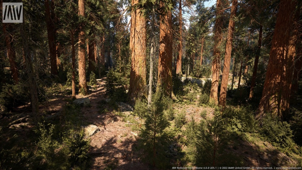 MW 红木树森林生物群落MW Redwood Trees Forest Biome