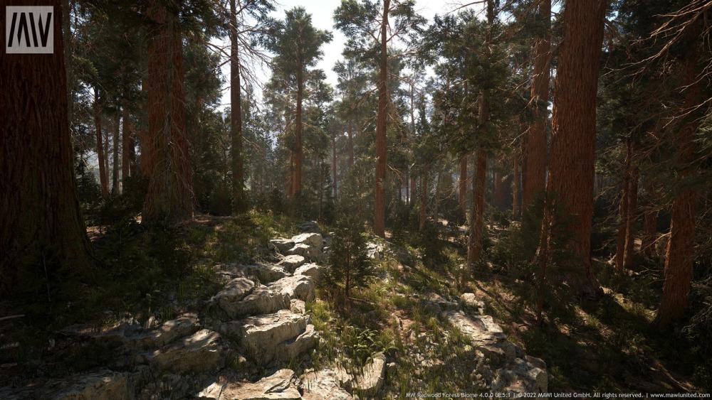 MW 红木树森林生物群落MW Redwood Trees Forest Biome