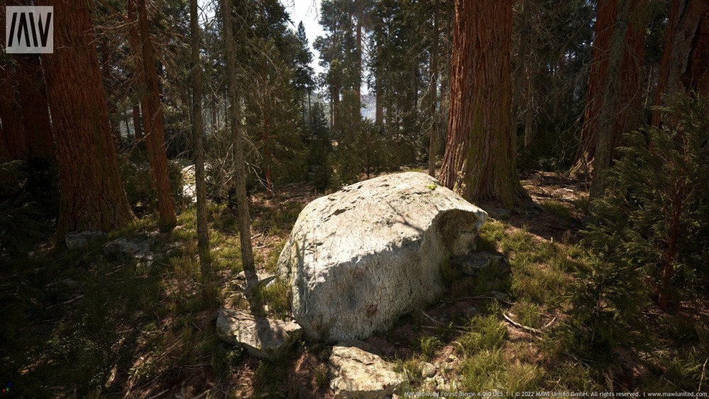 MW 红木树森林生物群落MW Redwood Trees Forest Biome