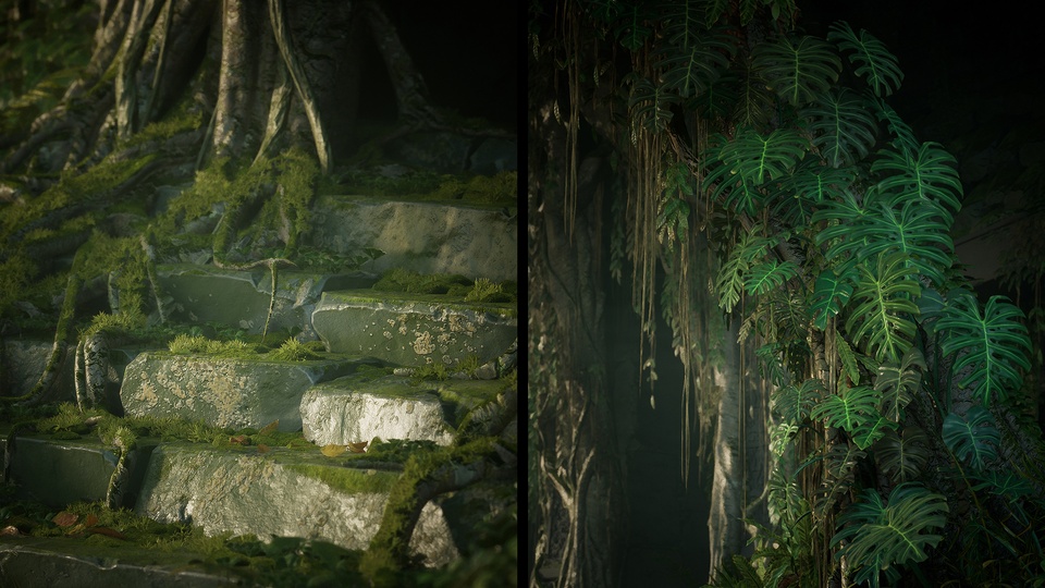 森林深处Deep in the Forest