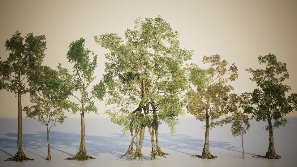 森林深处Deep in the Forest