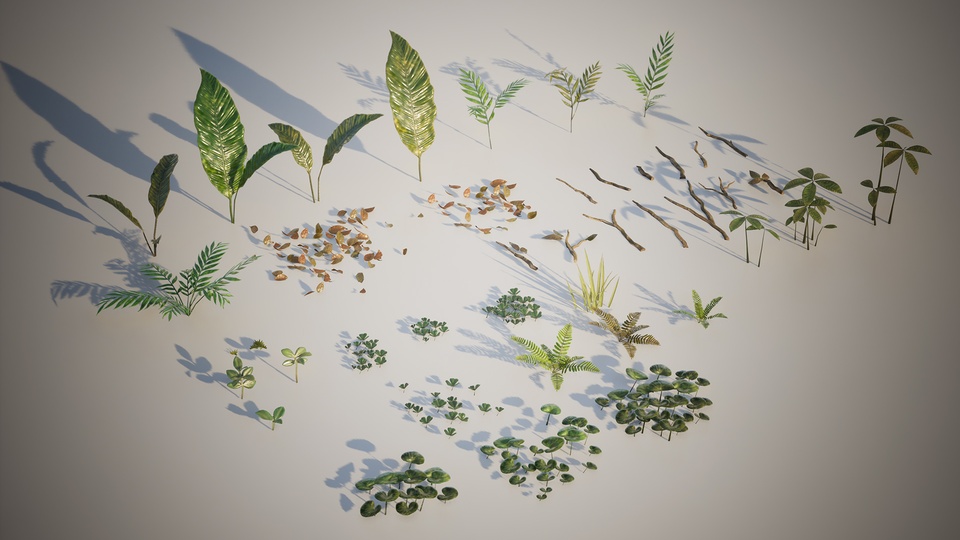 森林深处Deep in the Forest