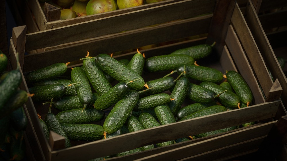 食物道具 – 水果和蔬菜 Vol.2 Food Props - Fruits and Vegetables Vol.2