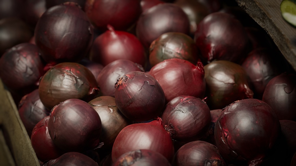 食物道具 – 水果和蔬菜 Vol.2 Food Props - Fruits and Vegetables Vol.2