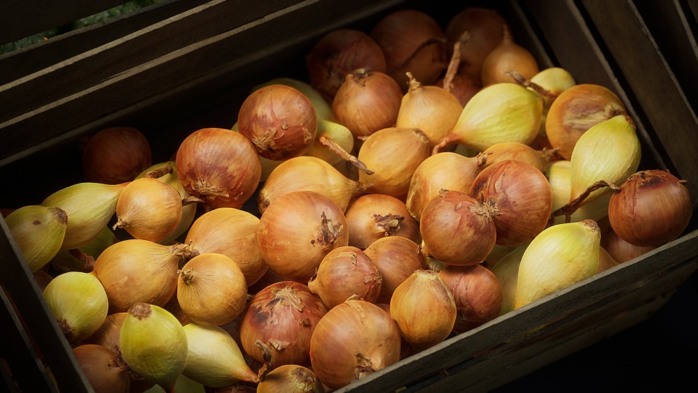 食物道具 – 水果和蔬菜 Vol.2 Food Props - Fruits and Vegetables Vol.2