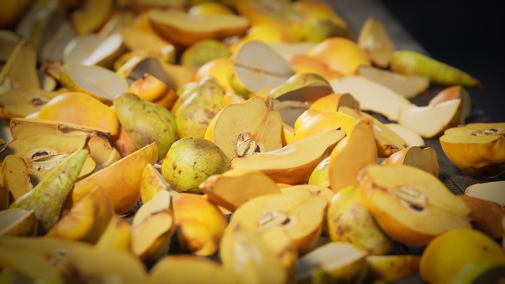 食物道具 – 水果和蔬菜 Vol.2 Food Props - Fruits and Vegetables Vol.2