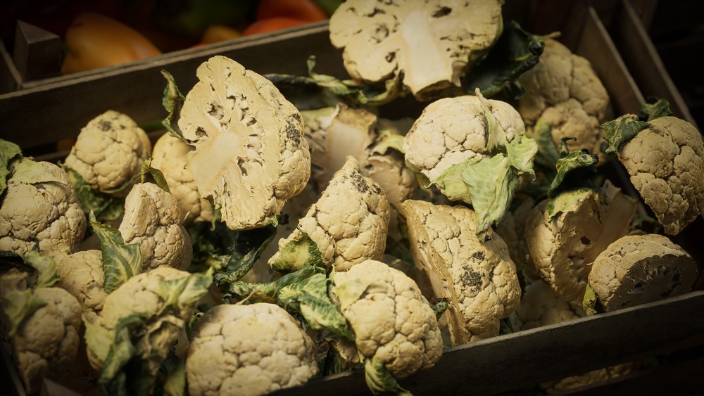 食物道具 – 水果和蔬菜 Vol.3 Food Props - Fruits and Vegetables vol.3