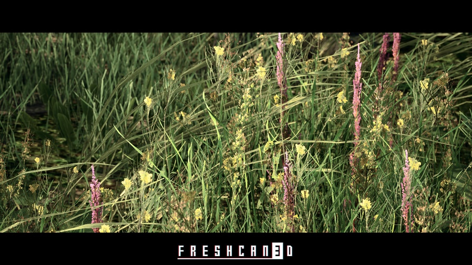 北岛景观包Northern Island Landscape Pack