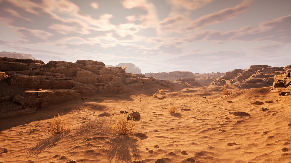 岩石沙漠环境Rocky Desert