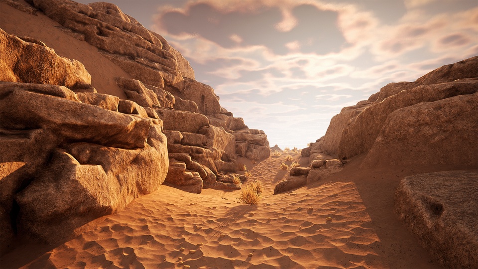 岩石沙漠环境Rocky Desert