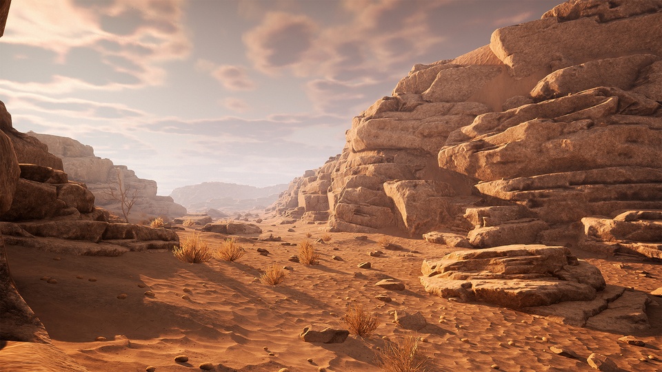 岩石沙漠环境Rocky Desert