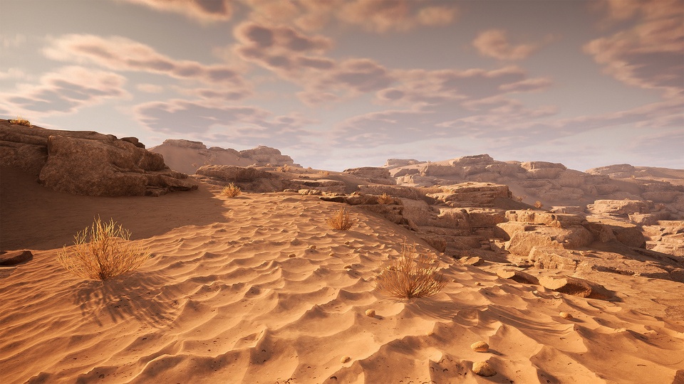 岩石沙漠环境Rocky Desert