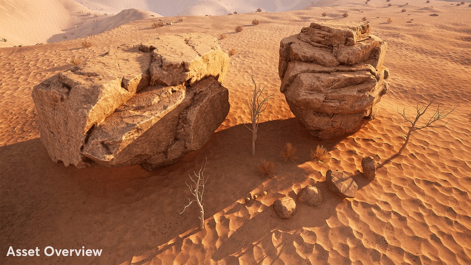 岩石沙漠环境Rocky Desert