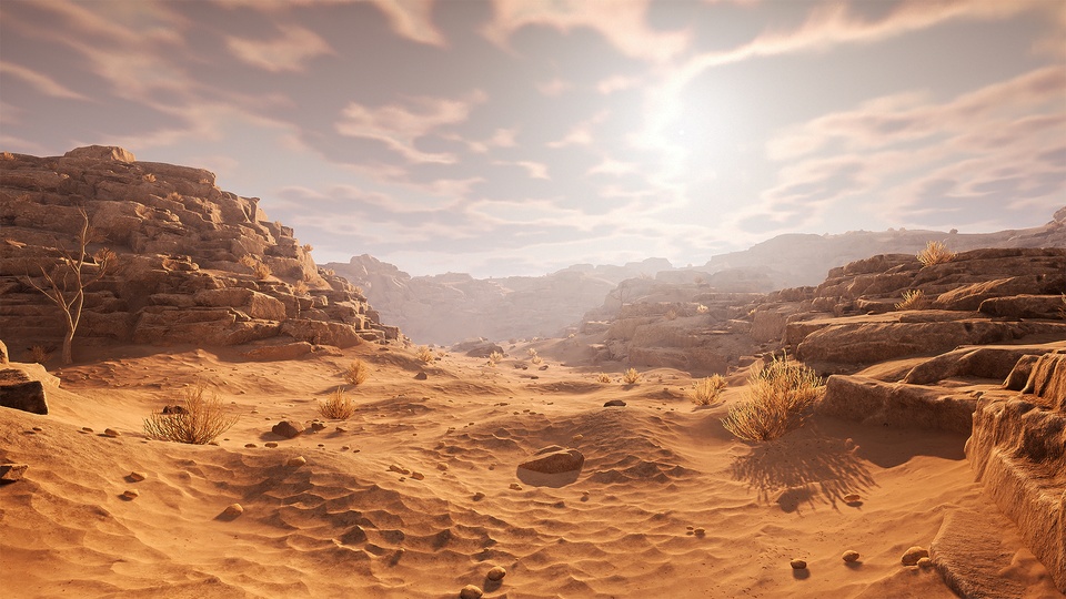 岩石沙漠环境Rocky Desert