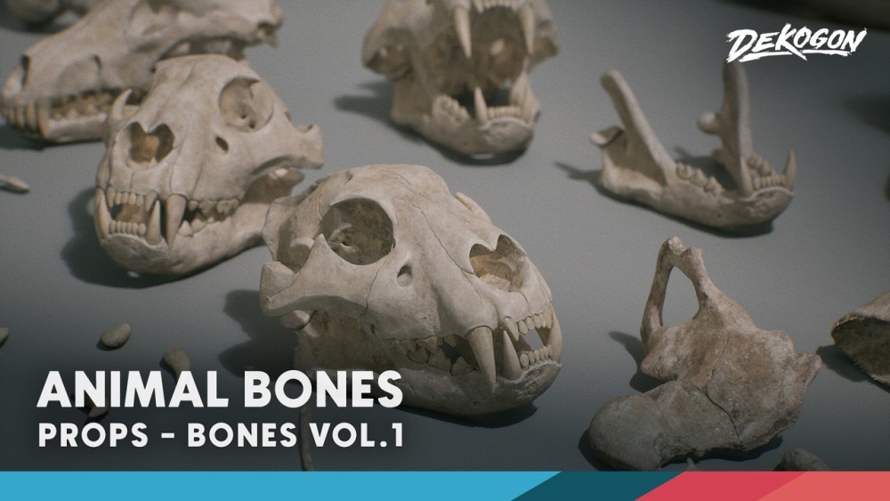 骨头 VOL.1 – 动物骨头 1 Bones VOL.1 - Animal Bones 1