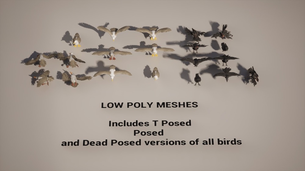 小动物 VOL.2 – 乌鸦与海鸥 Critters VOL.2 – Crows & Seagulls