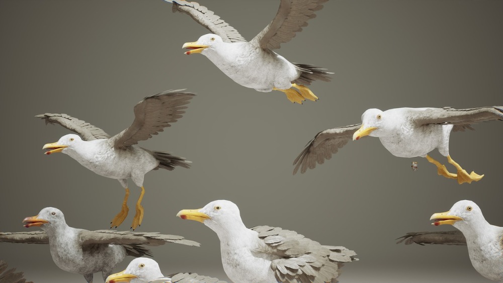 小动物 VOL.2 – 乌鸦与海鸥 Critters VOL.2 – Crows & Seagulls