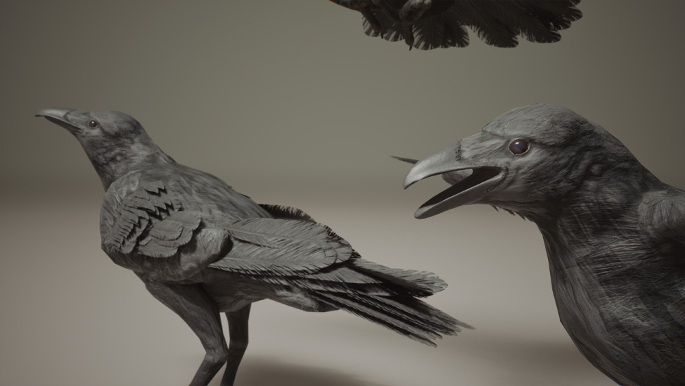 小动物 VOL.2 – 乌鸦与海鸥 Critters VOL.2 – Crows & Seagulls