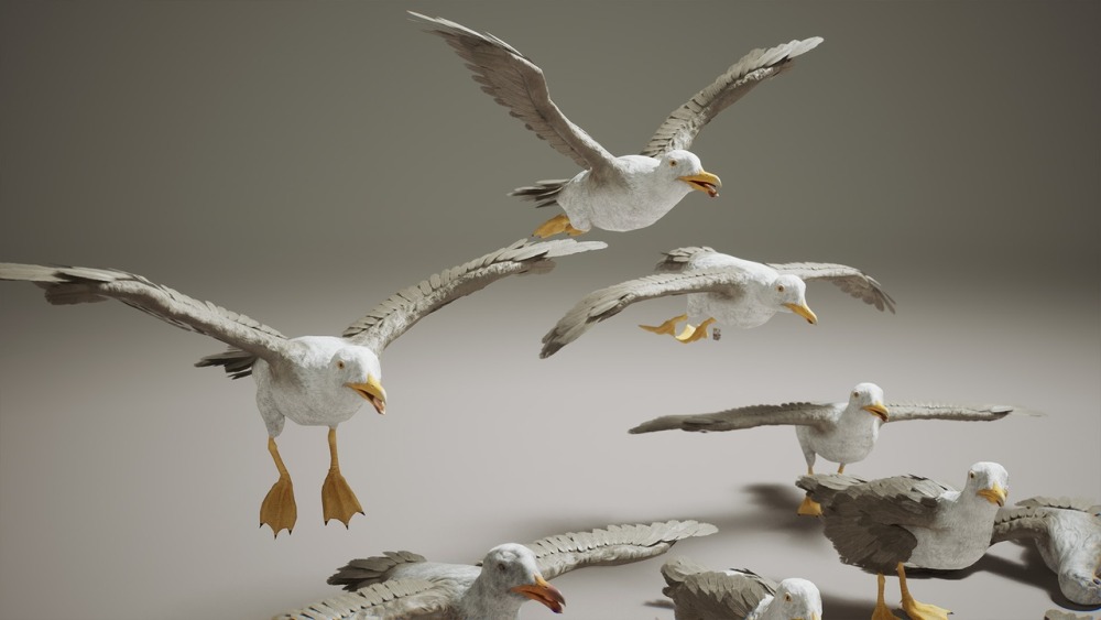 小动物 VOL.2 – 乌鸦与海鸥 Critters VOL.2 – Crows & Seagulls