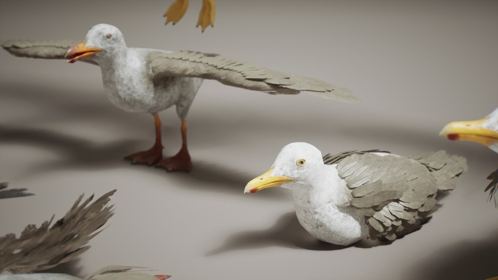 小动物 VOL.2 – 乌鸦与海鸥 Critters VOL.2 – Crows & Seagulls