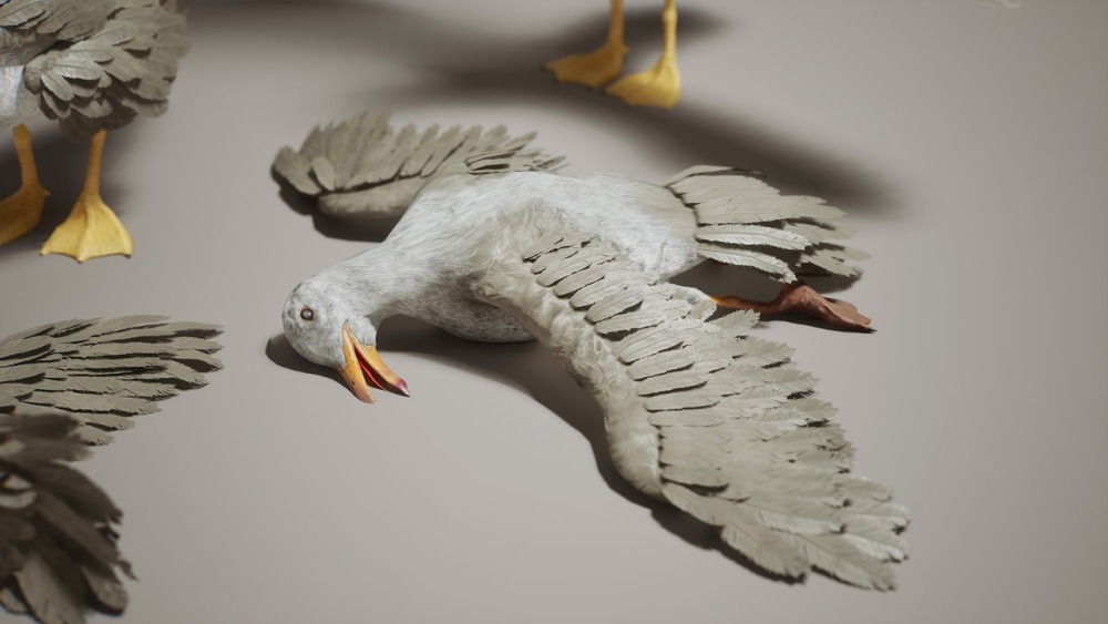 小动物 VOL.2 – 乌鸦与海鸥 Critters VOL.2 – Crows & Seagulls