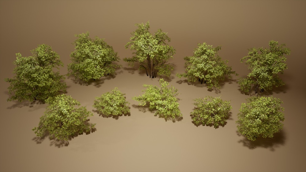 树叶 VOL.5 – 黄杨灌木丛 Foliage VOL.5 – Euonymus Bushes