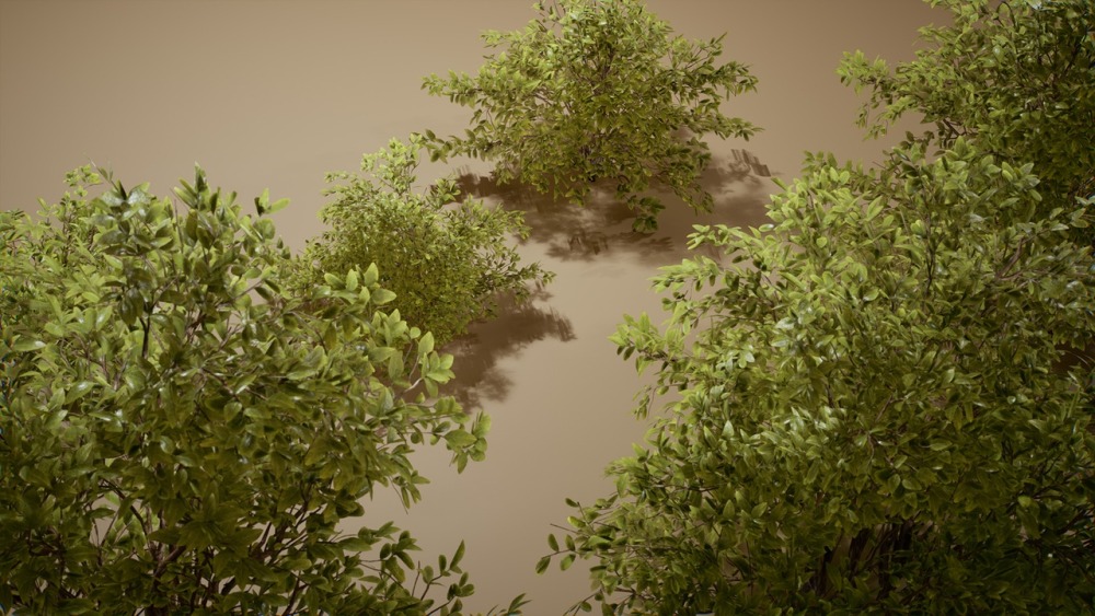 树叶 VOL.5 – 黄杨灌木丛 Foliage VOL.5 – Euonymus Bushes